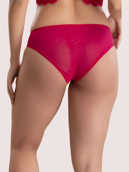 Beautiful Pink Lace Bikini Panties